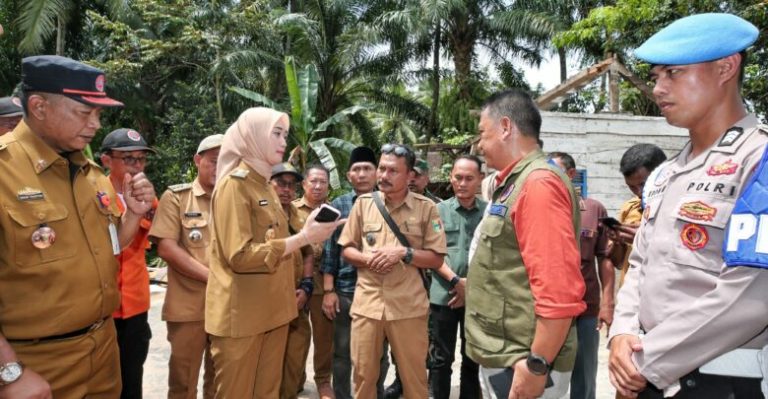 IMG-20250929-WA0110-780x405