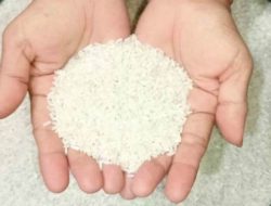 FotoGrid_20251018_164558591