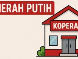 FotoGrid_20251019_161310137