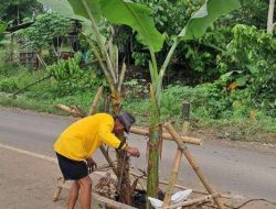 IMG-20251003-WA0060-720x405