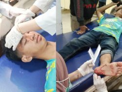 FotoGrid_20251113_102357468-780x405