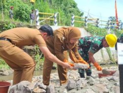 FotoGrid_20251216_163103644