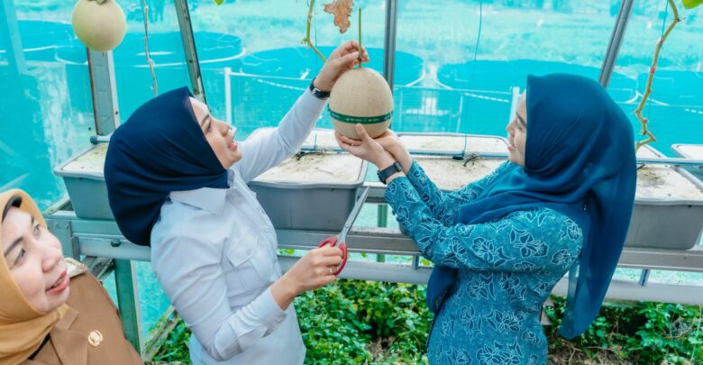 FotoGrid_20260127_053257258-780x405