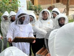 IMG-20260117-WA0038-780x405