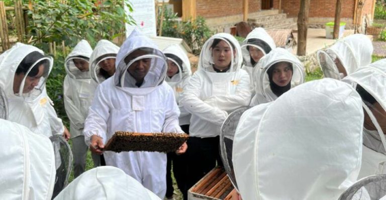 IMG-20260117-WA0038-780x405