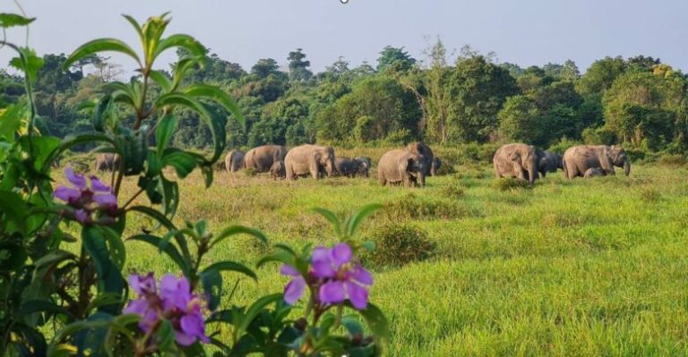 IMG-20260119-WA0019-780x405