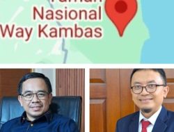 IMG-20260120-WA0008-780x405