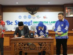 b-5-1536x1024-780x405