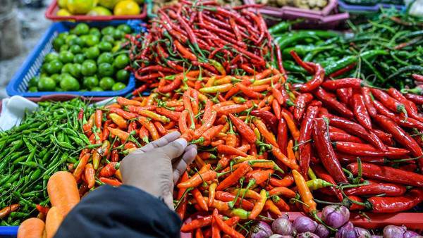 harga-cabai-makin-pedas-naik-hingga-90-1_169