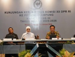 IMG-20260220-WA0037-780x405