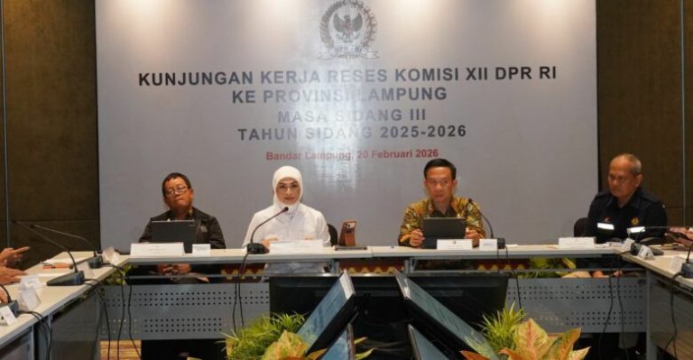 IMG-20260220-WA0037-780x405