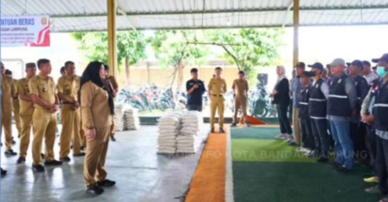 FotoGrid_20260309_164105108-780x405