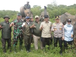 IMG-20260326-WA0025-780x405