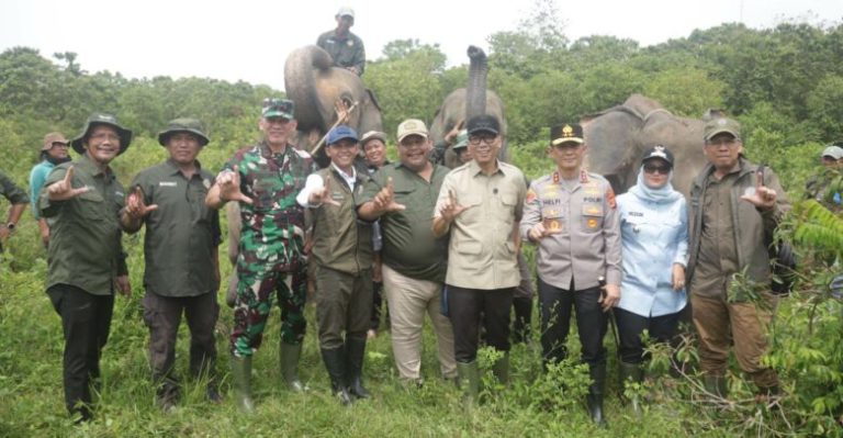 IMG-20260326-WA0025-780x405