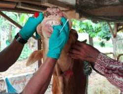 IMG-20260326-WA0037-780x405