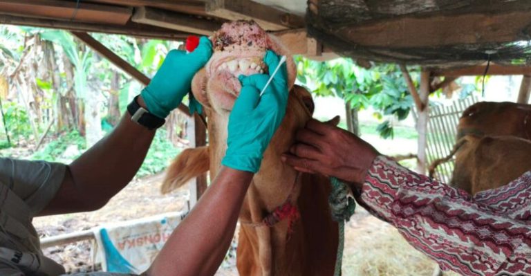 IMG-20260326-WA0037-780x405