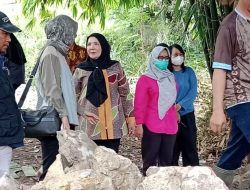 FotoGrid_20260418_173359980